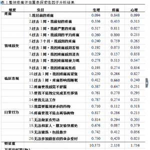 慢性疼痛患者整体疼痛评估量表的汉化及信效度评价