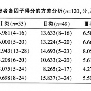 精神分裂症患者自我管理类型的研究