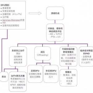 2016年美国血管外科协会糖尿病足管理指南