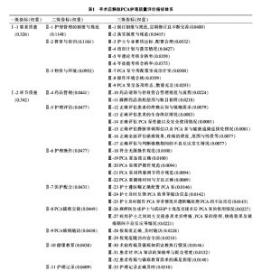 手术后静脉自控镇痛护理质量评价指标体系的研究