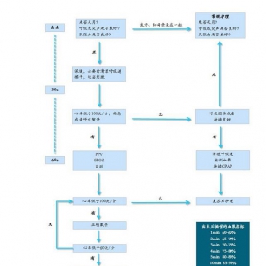 产科护理：新生儿复苏知多少？