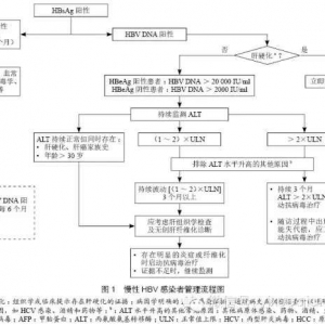 2015年中国慢性乙型肝炎防治指南解读