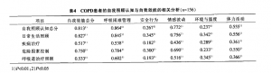 慢性阻塞性肺疾病患者自我照顾认知与自我效能的相关性研究 ... ...