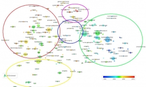 如何通过文献计量分析方法（Bibliometric Analysis）为科研选题提供支持 ...