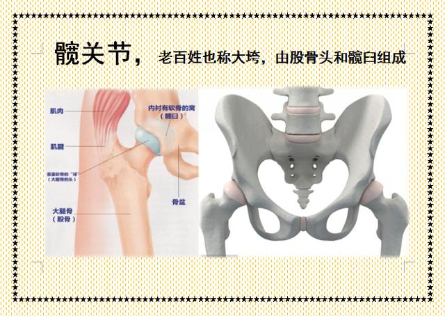 人工髋关节置换术后体位指导画册，三甲医院护士教您如何护理！