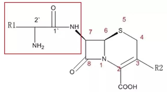 头孢类抗生素侧链相似度一览表