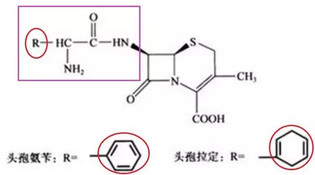 头孢类抗生素侧链相似度一览表