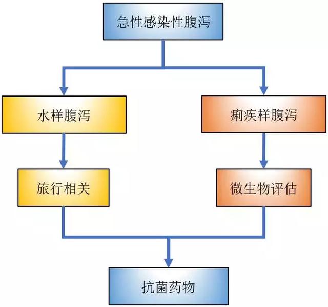 腹泻用药的是是非非！