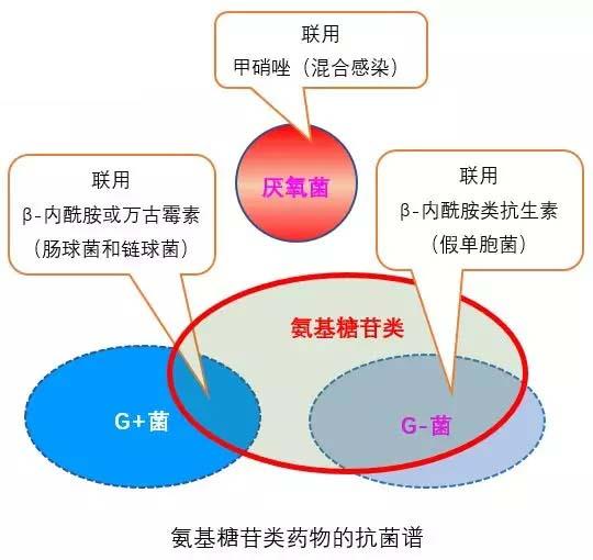 庆大霉素：雾化吸入知多少？