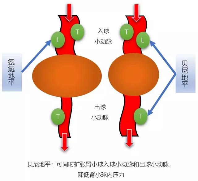 贝尼地平，与氨氯地平的区别