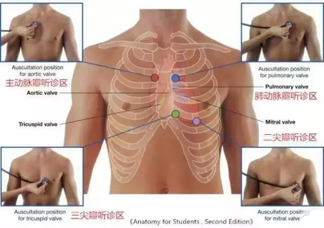 史上最全的心血管疾病图文详解 记得收藏