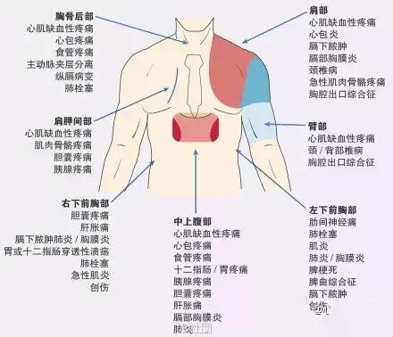 史上最全的心血管疾病图文详解 记得收藏