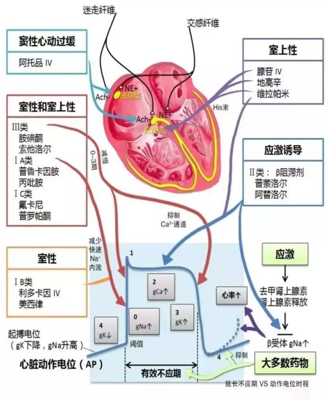 史上最全的心血管疾病图文详解 记得收藏