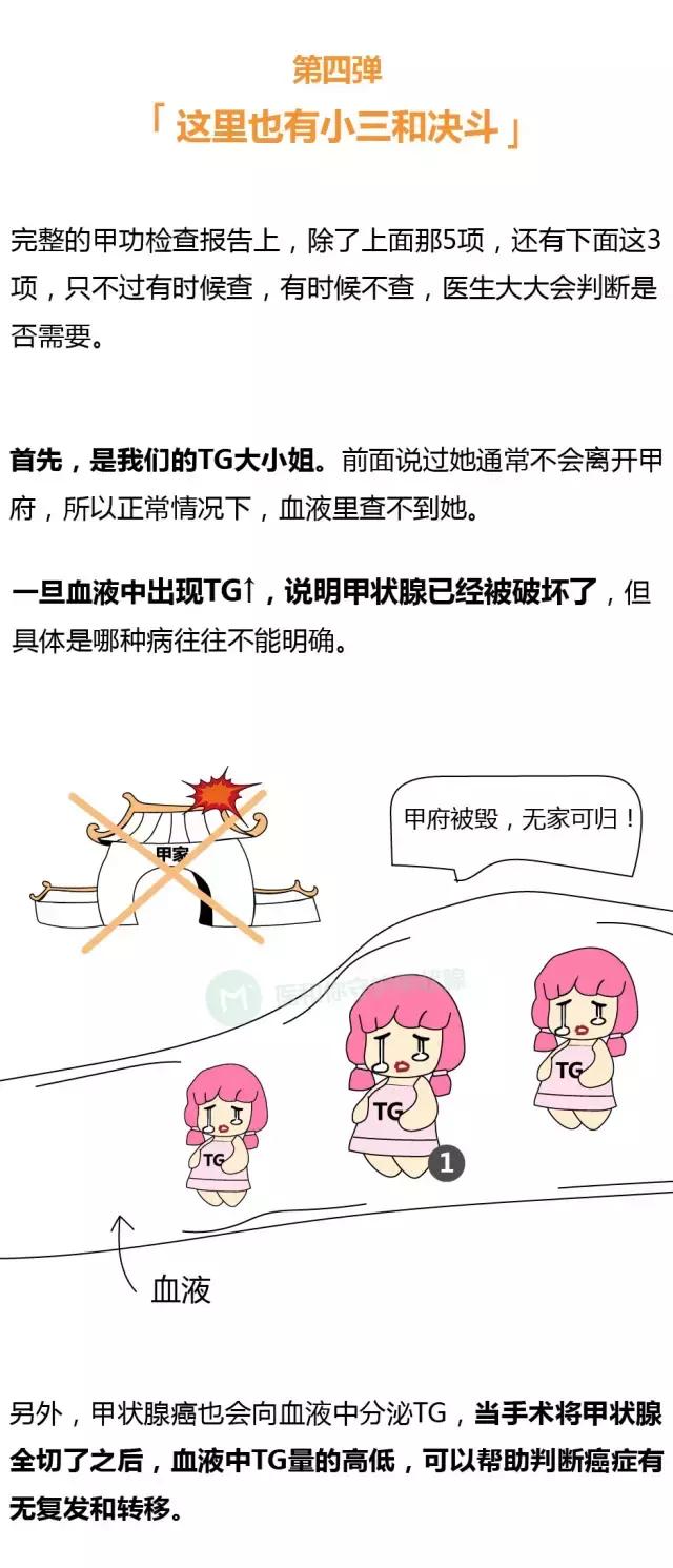 漫画——甲状腺及其江湖