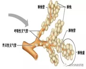 无创呼吸机那些事儿