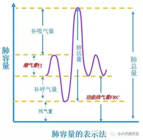 无创呼吸机那些事儿