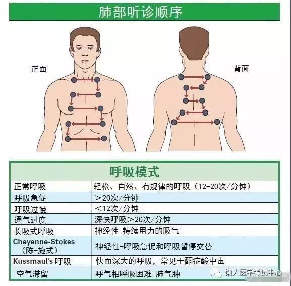 10分钟搞定呼吸系统