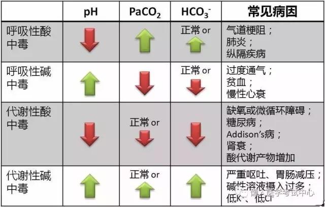 10分钟搞定呼吸系统