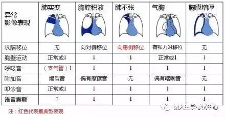 10分钟搞定呼吸系统