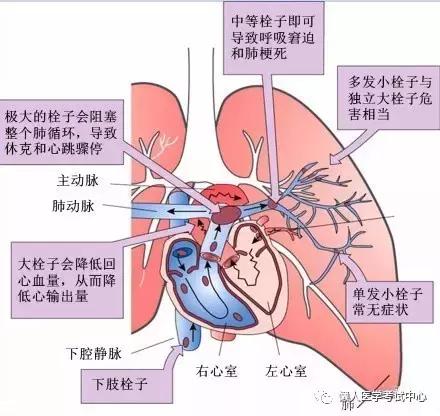 10分钟搞定呼吸系统