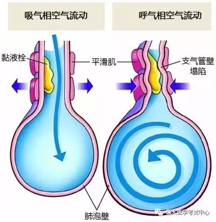 10分钟搞定呼吸系统