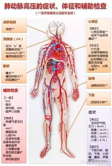 10分钟搞定呼吸系统