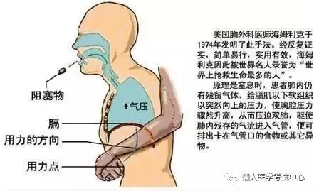 10分钟搞定呼吸系统