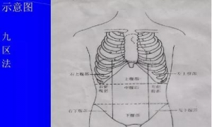 腹部体格检查