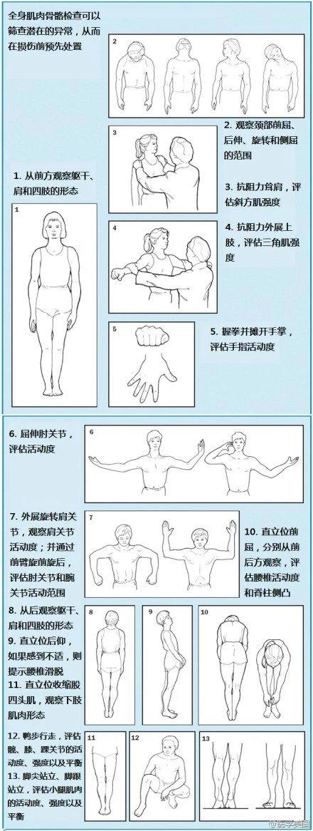 运动系统——10分钟搞定