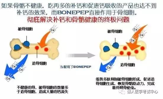 运动系统——10分钟搞定