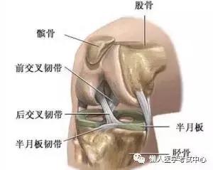 运动系统——10分钟搞定