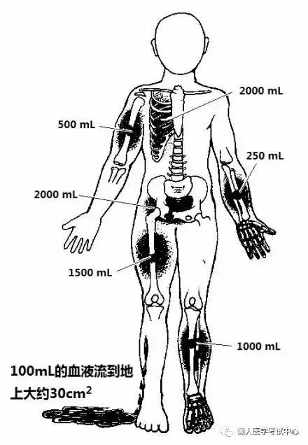 运动系统——10分钟搞定