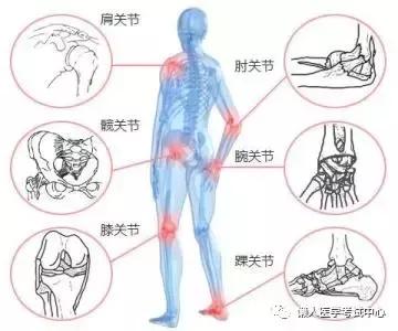 运动系统——10分钟搞定