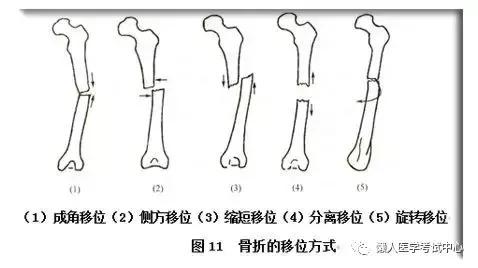 运动系统——10分钟搞定