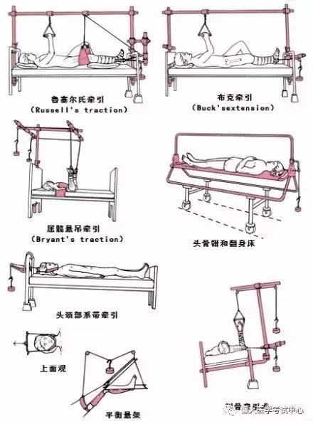 运动系统——10分钟搞定