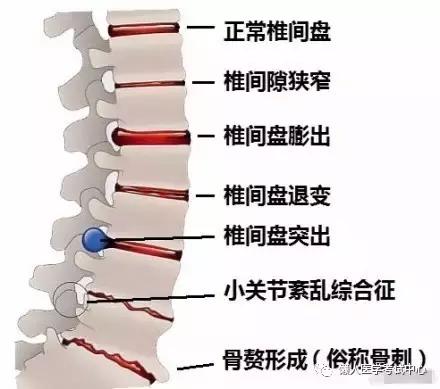 运动系统——10分钟搞定