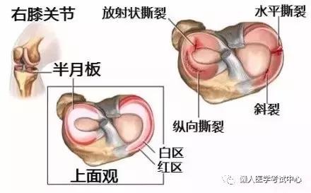 运动系统——10分钟搞定