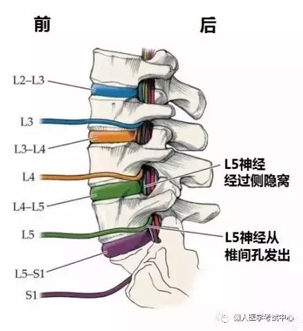 运动系统——10分钟搞定