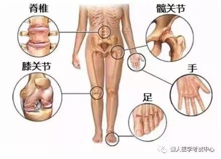 运动系统——10分钟搞定