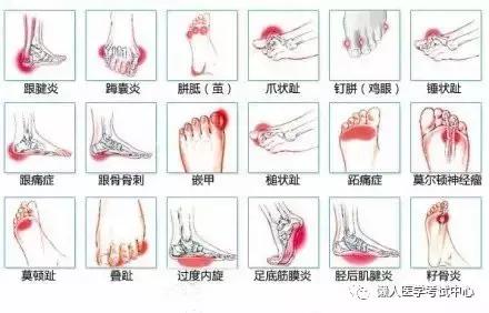 运动系统——10分钟搞定