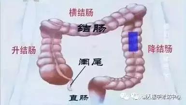 10分钟搞定消化系统