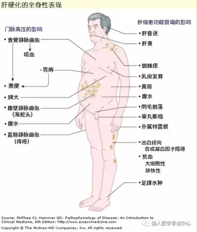 10分钟搞定消化系统