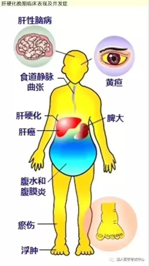 10分钟搞定消化系统