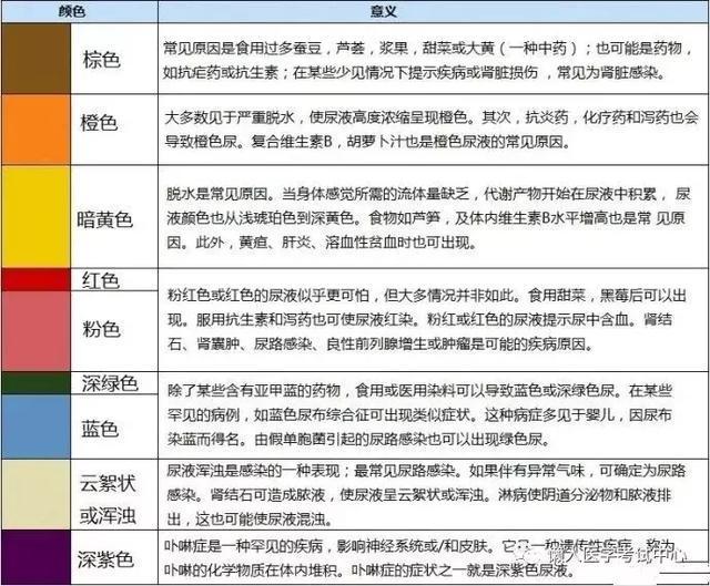 「医学美图」泌尿系统——10分钟搞定