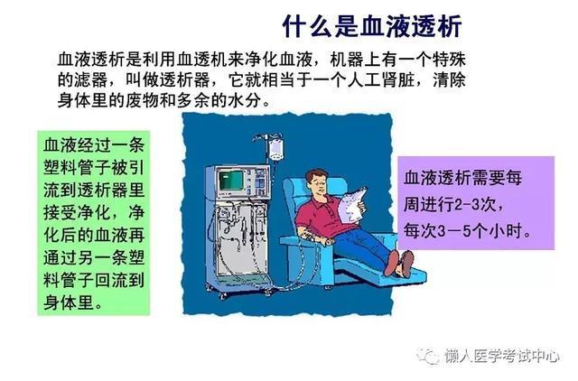 「医学美图」泌尿系统——10分钟搞定