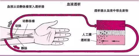 「医学美图」泌尿系统——10分钟搞定