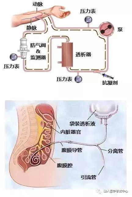 「医学美图」泌尿系统——10分钟搞定