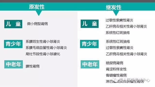 「医学美图」泌尿系统——10分钟搞定