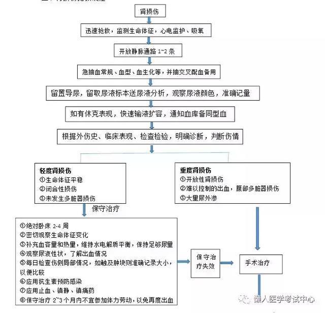 「医学美图」泌尿系统——10分钟搞定