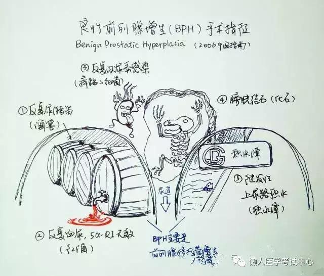 「医学美图」泌尿系统——10分钟搞定